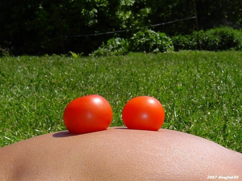 dwa pomidorki na tle łąki zielonej....