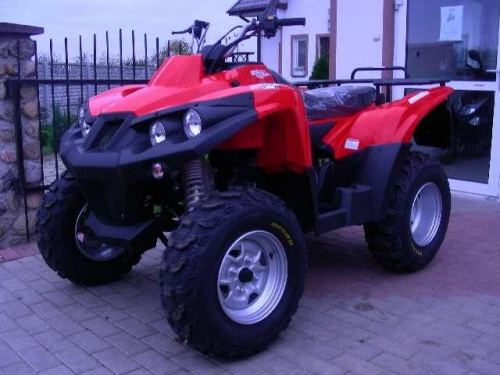 LS 300 U #quad #LuckyStar #CentrumATV #ATV #przeprawówka