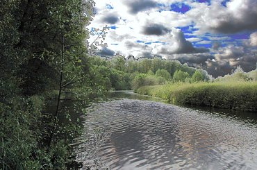 Koluszki, las, jesien, zbiornik , Lisowice #Koluszki #las #jesien #Lisowice