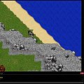 #tibia