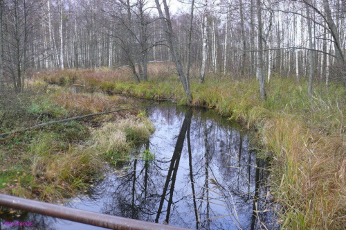 Snopkowska Struga #SnopkowskaStruga #Karwik #mazury