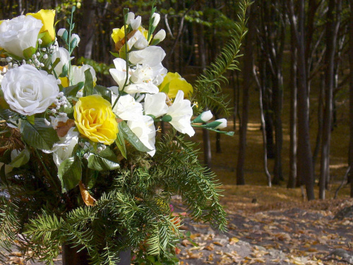 Przy kapliczce w lesie Tynieckim #kwiaty #LasTyniecki