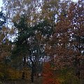 #Łódź