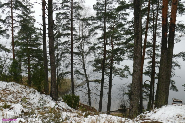 Jezioro Roś #JezioroRoś #Mazury