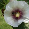 Wakacje/Lato 2007 #WakacjeLato
