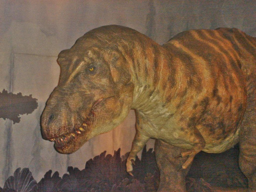 Dinozaur:) niby to tylko atrapa, ale fajnie sie rusza:) #muzeum #dinozaur
