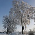 Nasza zima...mazurska