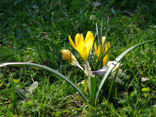 Wiosna #widoki #wiosna #natura