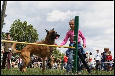 Pokaz Agility - Olsztyn 2007 Wystawa Psów