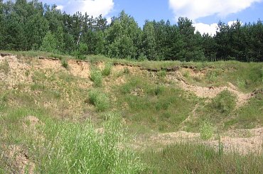 Dzisiejsza wycieczka po okolicy #Trzmiel #żmijowiec #firletka #limba #dalia