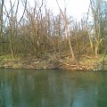 Rzeka BÓBR wiosna 2007 #Przyroda #rzeka