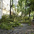 huragan nad Krakowem - Planty po wielkim wietrze #Kraków #Planty