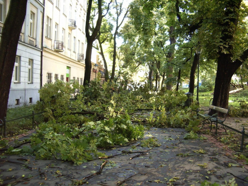 huragan nad Krakowem - Planty po wielkim wietrze #Kraków #Planty