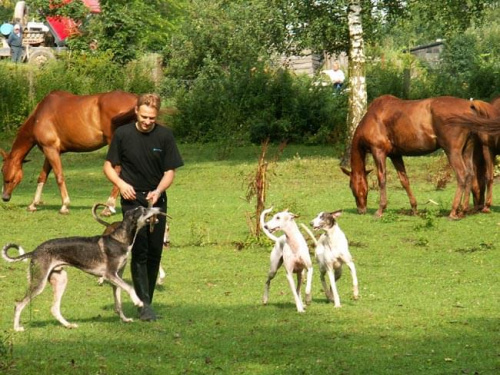 Swarożyn 2006 Foto A. Ćwikliński