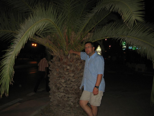 Palma, Tunezja 2006 #Tunezja