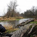 rz.Narew