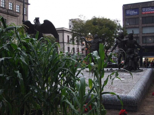 Przy Zócalo... #MiastoMeksyk #MexicoCity #Zócalo