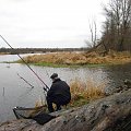 rz.Narew