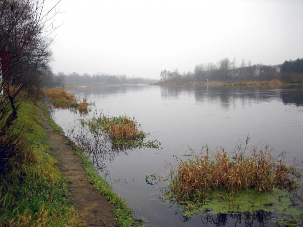 rz.Narew