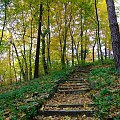 Złota jesień #Jesień #Park #Drzewa #Liście