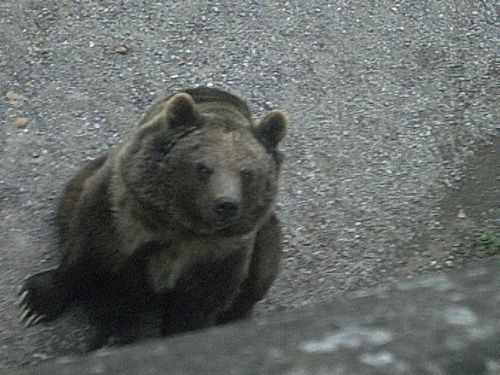 Berno - Szwajcaria