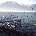 Montreaux -Szwajcaria