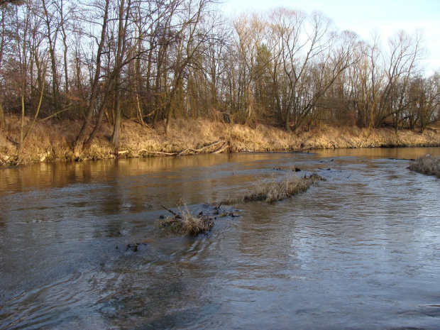 widoki nad Bobrem #Przyroda #widoki #rzeka #woda