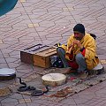 zaklinacz węży na Djemaa el-Fna #Marrakesz