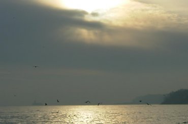 #rewa #mechelinki #szperk #ZatokaPucka #ZatokaGdańska #rybacy