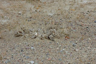 #rewa #mechelinki #szperk #ZatokaPucka #ZatokaGdańska #rybacy