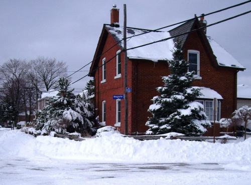 zima - 7 lutego 2008 #zima #Toronto #Canada