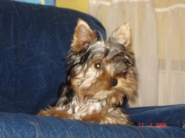 Jeny