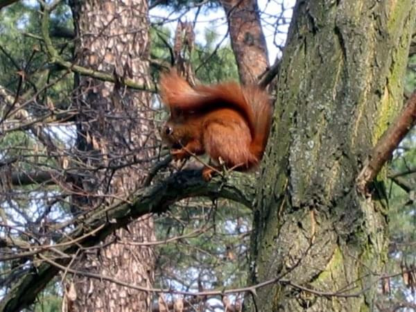 Mieszkańcy Parku Miejskiego