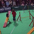 agility