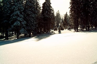 Turbacz 28-31 Stycznia 2008 #Matys #turbacz #podhale #gorce #gpn #czolo #turbacza