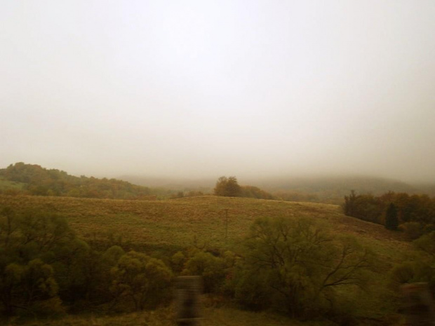 Jesień #jesień #mgła