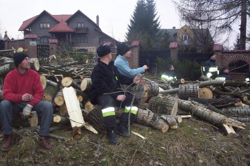 Przycinka drzew nad stawem salinarnym