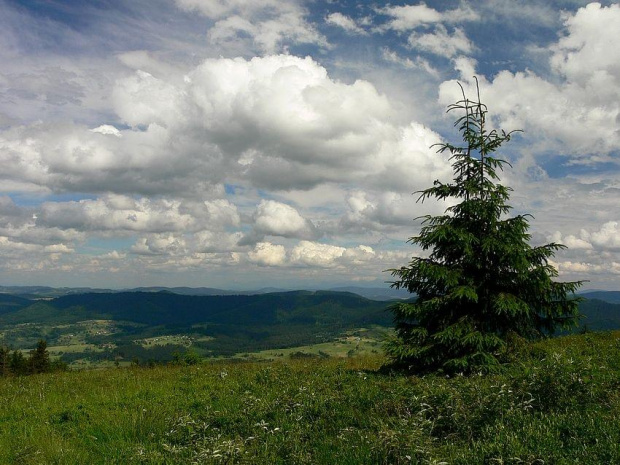 Zachwytom nie było końca. Tym bardziej, że w dali wyraźnie pokazały się Tatry