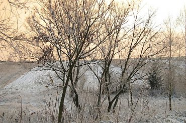 widok z okna #krajobraz #natura #drzewo #drzewa #chmury