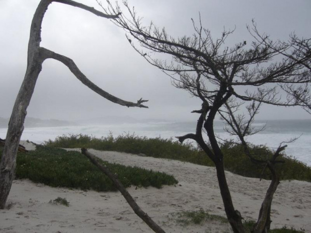 Carmel Beach #plaża #ocean #Kalifornia #Pacyfik #CarmelBeach