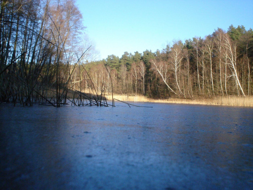 Jeziorko zimą. #przyroda #jezioro #zima #lód #woda