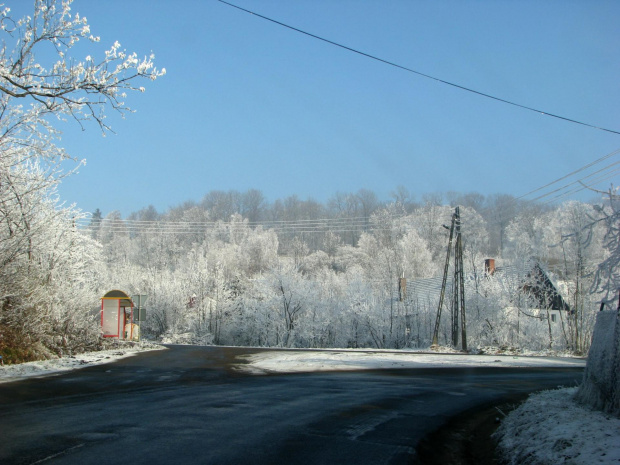 dziwiszów #przyroda #natura #zima #śnieg #krajobraz