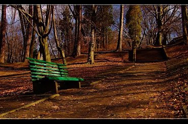 #Przemyśl #Frieda #morfeo #Drohobyczka