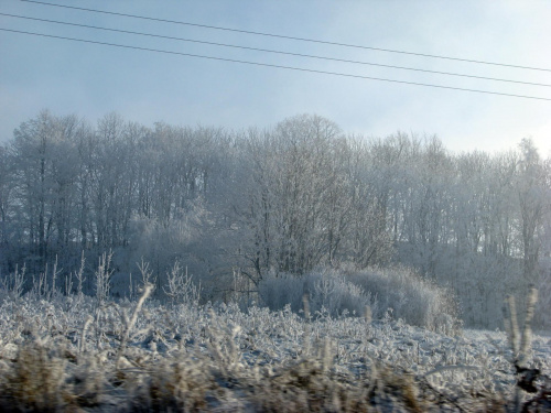 zima #przyroda #natura #zima #krajobraz #JeleniaGóra #drzewa #śnieg #karkonosze