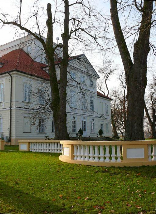 Sterdyń, pałac Ossolińskich - strona północna #Sterdyń