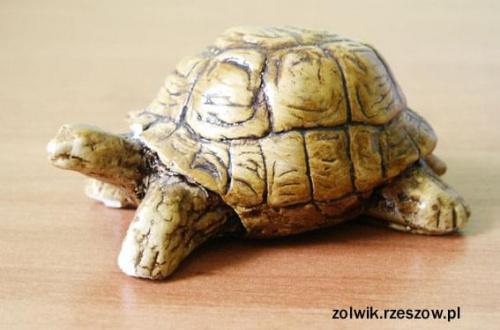 żółw-brazowy #żółw #figurki