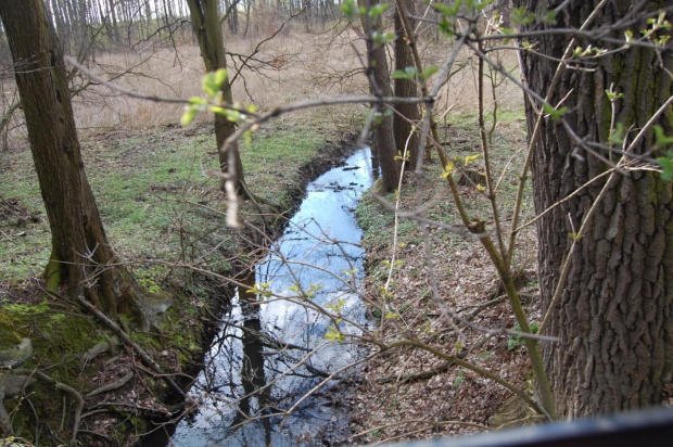 okolice Legnicy- Pawłowice, Czerwony Kościół, Zimna Woda, Raszowa, Raszówka, Mała Rasowa, Szczytniki nad Kaczawą itd #OkoliceLegnicy