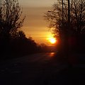 #słońce #wschód #WschódSłońca #poranek #droga #ulica #drzewa