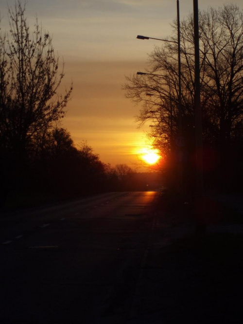 #słońce #wschód #WschódSłońca #poranek #droga #ulica #drzewa