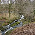 potok w Wicklow Mountains